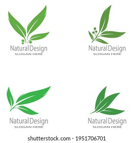 Leaf icon Vector Illustration design Logo template