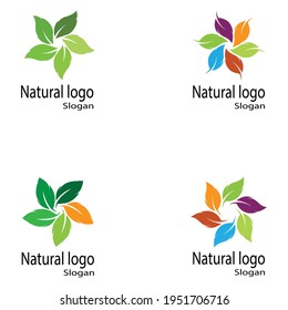 Leaf icon Vector Illustration design Logo template