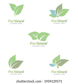 Leaf icon Vector Illustration design Logo template