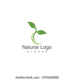 Leaf icon Vector Illustration design Logo template