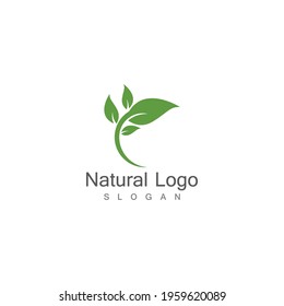 Leaf icon Vector Illustration design Logo template