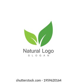 Leaf icon Vector Illustration design Logo template