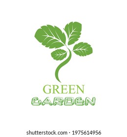 Leaf icon Vector Illustration design Logo template