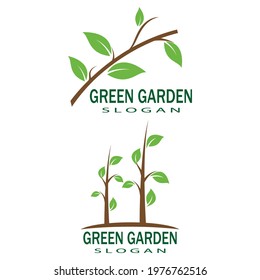 Leaf icon Vector Illustration design Logo template