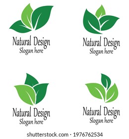 Leaf icon Vector Illustration design Logo template