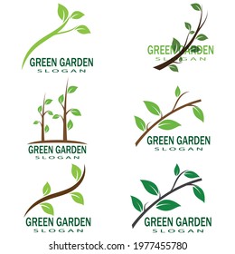 Leaf icon Vector Illustration design Logo template