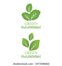 Leaf icon Vector Illustration design Logo template