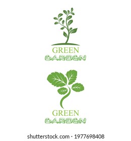 Leaf icon Vector Illustration design Logo template