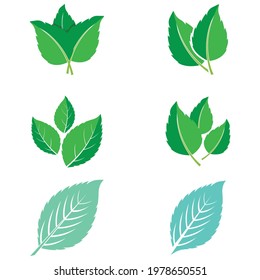 Leaf icon Vector Illustration design Logo template