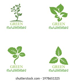 Leaf icon Vector Illustration design Logo template