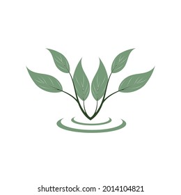 Icono de hoja Vector Ilustración de diseño Modelo de logotipo