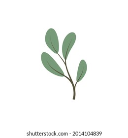 Leaf icon Vector Illustration design Logo template