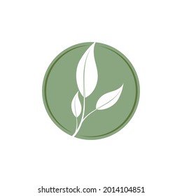 Leaf icon Vector Illustration design Logo template