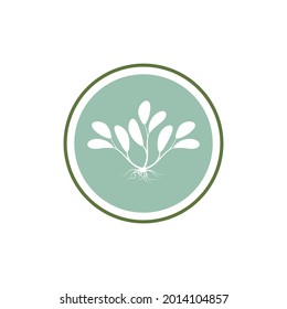 Leaf icon Vector Illustration design Logo template