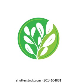 Leaf icon Vector Illustration design Logo template