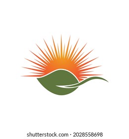Leaf icon Vector Illustration design Logo template