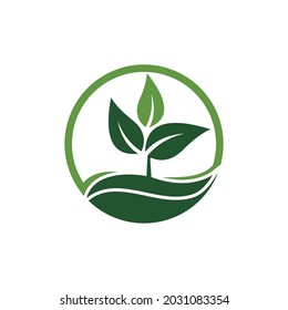 Icono de hoja Vector Ilustración de diseño Modelo de logotipo