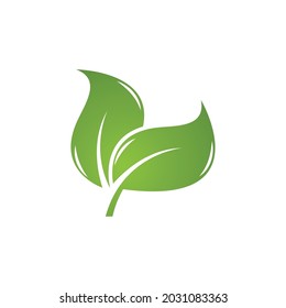 Leaf icon Vector Illustration design Logo template