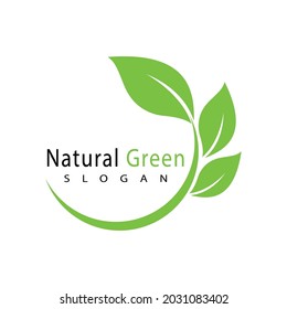Leaf icon Vector Illustration design Logo template