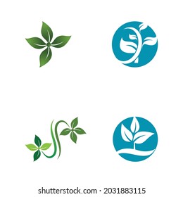 Leaf icon Vector Illustration design Logo template