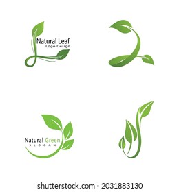 Leaf icon Vector Illustration design Logo template