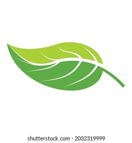 Leaf icon Vector Illustration design Logo template