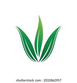 Leaf icon Vector Illustration design Logo template