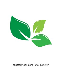 Leaf icon Vector Illustration design Logo template