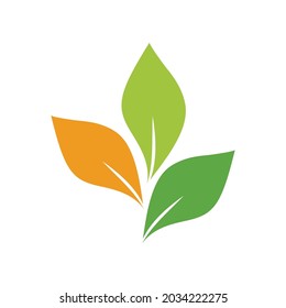 Icono de hoja Vector Ilustración de diseño Modelo de logotipo