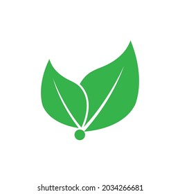 Icono de hoja Vector Ilustración de diseño Modelo de logotipo