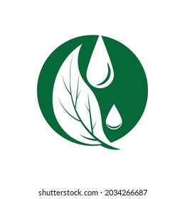 Icono de hoja Vector Ilustración de diseño Modelo de logotipo