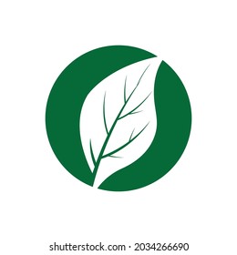 Leaf icon Vector Illustration design Logo template