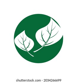 Leaf icon Vector Illustration design Logo template
