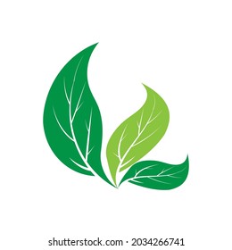 Leaf icon Vector Illustration design Logo template