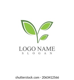 Icono de hoja Vector Ilustración de diseño Modelo de logotipo