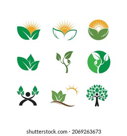 Leaf icon Vector Illustration design Logo template