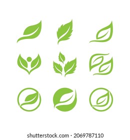Icono de hoja Vector Ilustración de diseño Modelo de logotipo