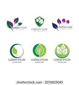 Leaf icon Vector Illustration design Logo template
