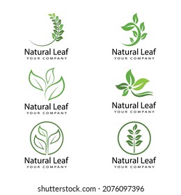 Leaf icon Vector Illustration design Logo template