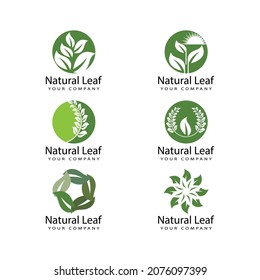 Leaf icon Vector Illustration design Logo template