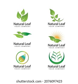 Leaf icon Vector Illustration design Logo template