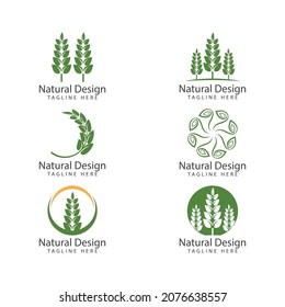 Icono de hoja Vector Ilustración de diseño Modelo de logotipo