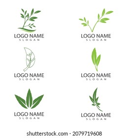 Leaf icon Vector Illustration design Logo template
