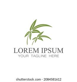 Leaf icon Vector Illustration design Logo template
