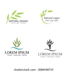 Leaf icon Vector Illustration design Logo template