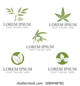 Icono de hoja Vector Ilustración de diseño Modelo de logotipo