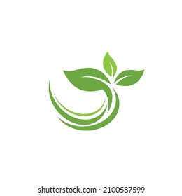 Leaf icon Vector Illustration design Logo template