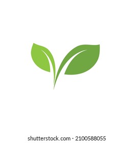 Leaf icon Vector Illustration design Logo template