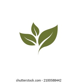 Leaf icon Vector Illustration design Logo template