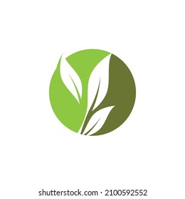 Leaf icon Vector Illustration design Logo template